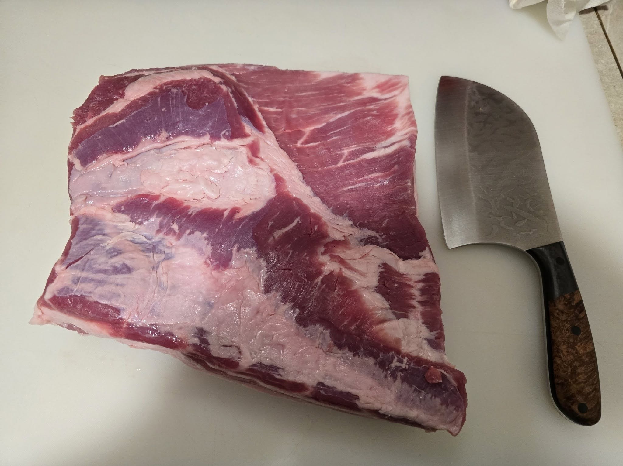 Raw pork belly prepared for bacon curing